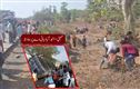 مہاراشٹرمیں منگنی پارٹی کی ٹیمپو،ٹرک سے ٹکرائی، کم از کم 11 ہلاک، 20 زخمی
